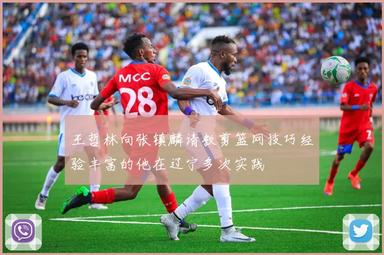 王哲林向张镇麟请教剪篮网技巧经验丰富的他在辽宁多次实践