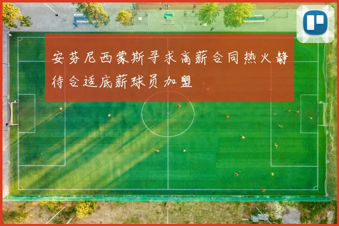 安芬尼西蒙斯寻求高薪合同热火静待合适底薪球员加盟