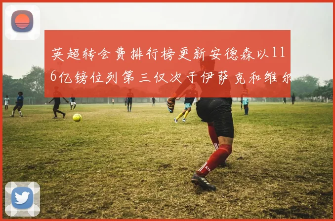 英超转会费排行榜更新安德森以116亿镑位列第三仅次于伊萨克和维尔茨