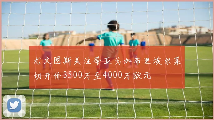 尤文图斯关注蒂亚戈加布里埃尔莱切开价3500万至4000万欧元